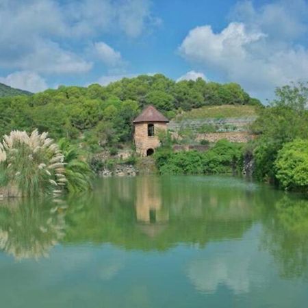 Beautiful Spot For Remote Work Apartment Алейя Екстериор снимка