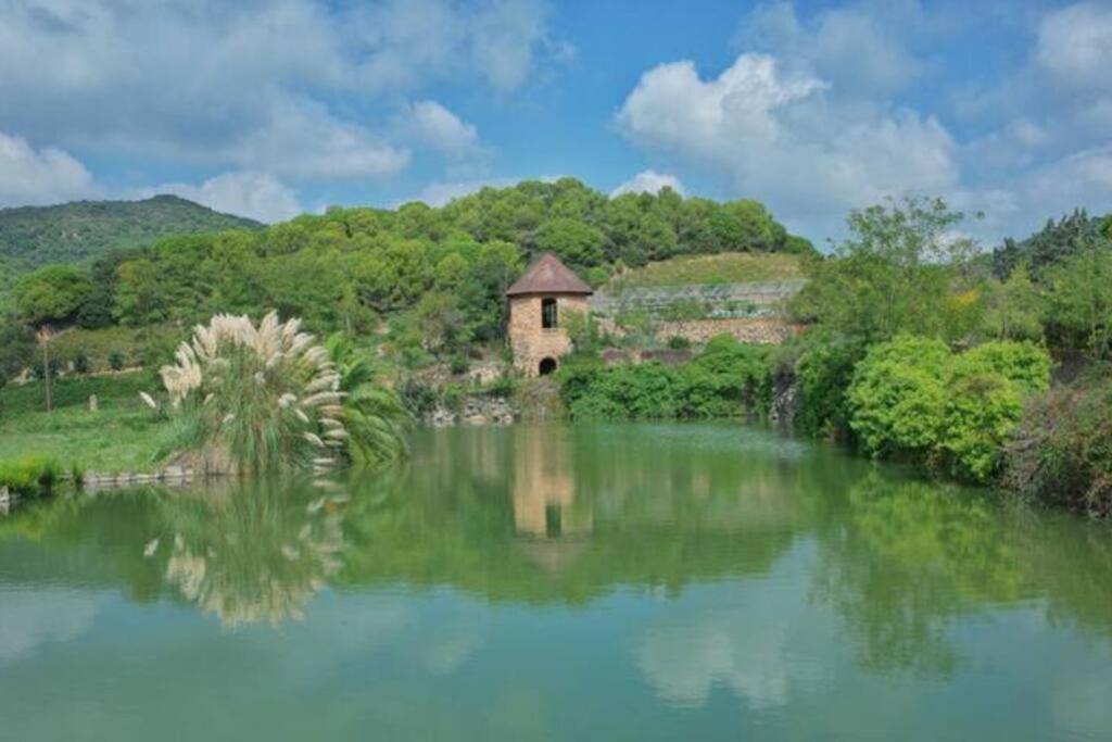 Beautiful Spot For Remote Work Apartment Алейя Екстериор снимка