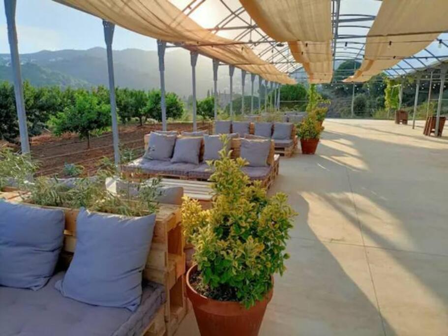 Beautiful Spot For Remote Work Apartment Алейя Екстериор снимка